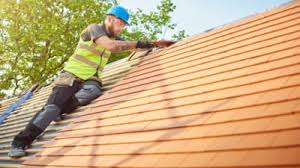 Best Roof Ventilation Installation  in Dacula, GA