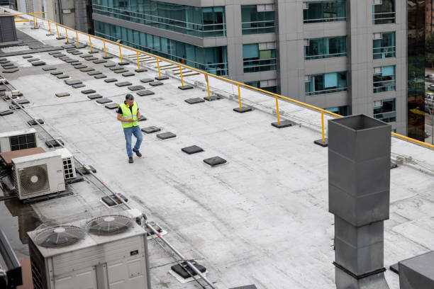 Best Roof Coating and Sealing  in Dacula, GA