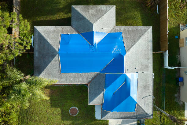 Best Roof Moss and Algae Removal  in Dacula, GA