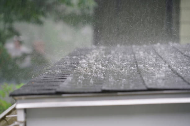 Best Roof Maintenance and Cleaning  in Dacula, GA