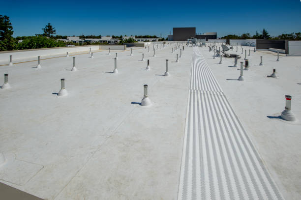 Best Solar Panel Roofing Installation  in Dacula, GA